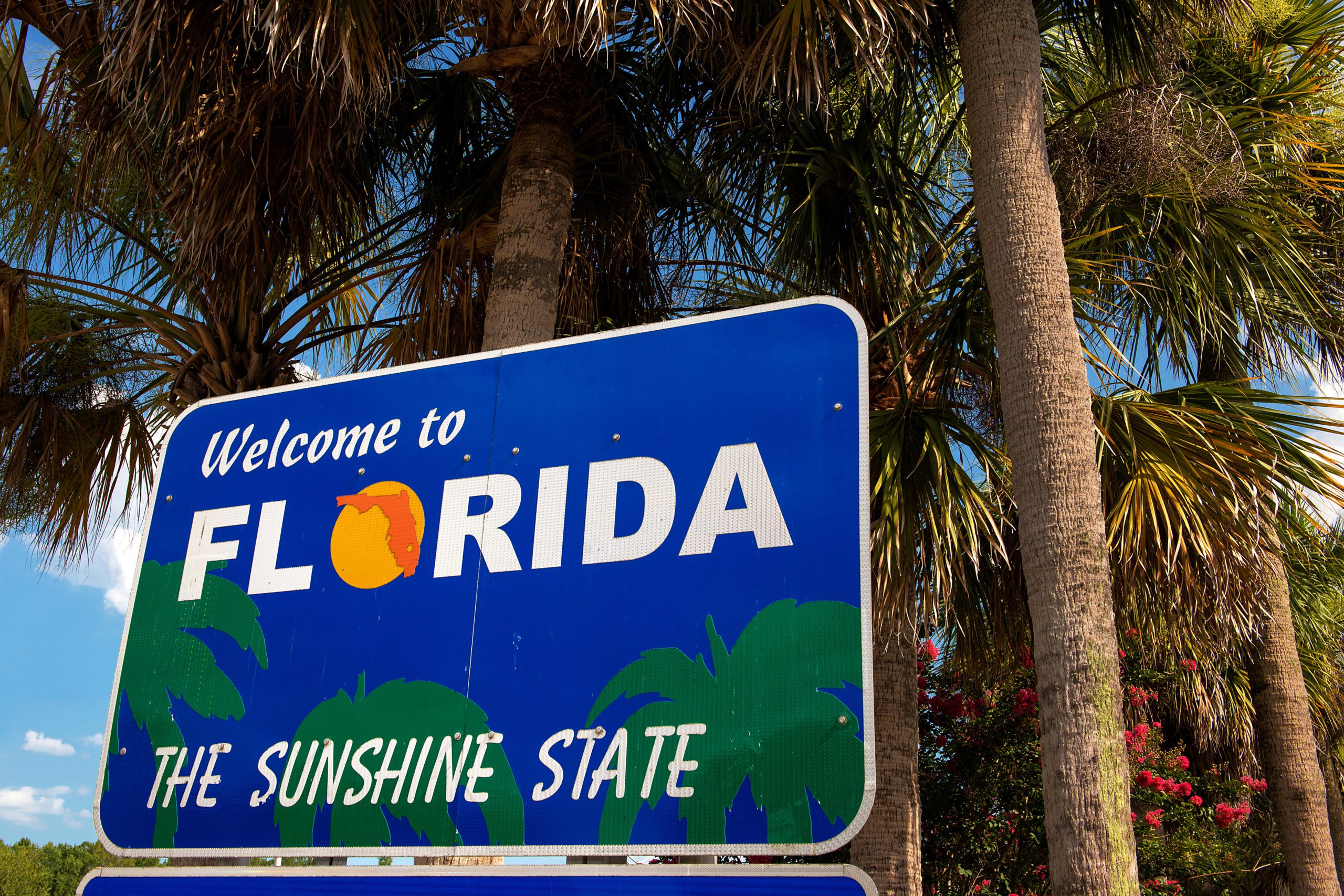 Florida Debt Relief