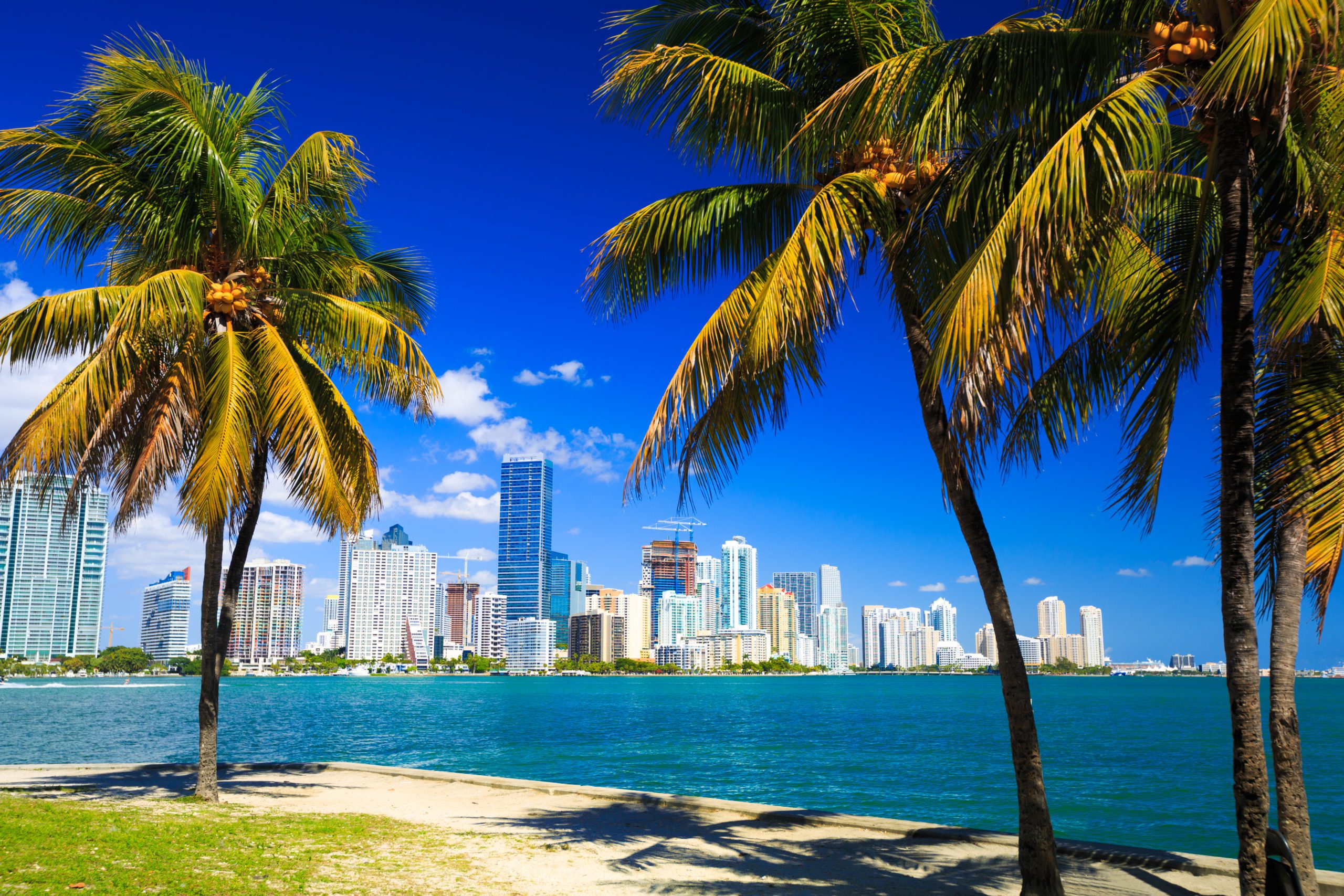 Florida Debt Relief